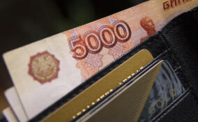 Полиция задержала троих подозреваемых в разбойном нападении в Сертолово
