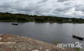 Дожди и порывистый ветер ожидаются в Ленобласти в воскресенье