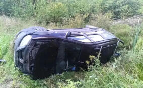 За сутки спасатели Ленобласти потушили 14 пожаров и спасли семь человек