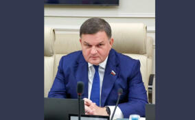 Сергей Перминов оценил шансы Мерца удержаться у власти после провала ХДС