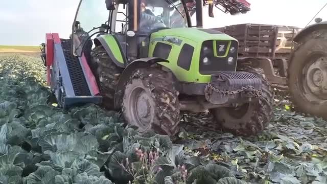 «Каждая минута без дождя – на счету»: губернатор показал, как аграрии Ленобласти спасают урожай