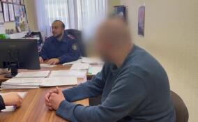 Комментарий в интернете обернулся уголовным делом для жителя Ленобласти
