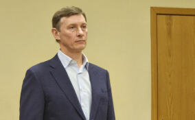 Бывший вице-губернатор Ленобласти Москвин вышел из колонии по УДО