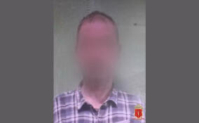 Мужчина из-за долга поджег дом в СНТ в Выборгском районе