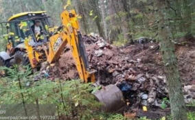 Около 3,8 тыс. кубометров мусора вывезли из лесов Ленобласти с начала года