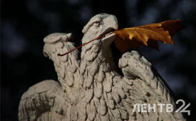 Без осадков и до +18 градусов: о погоде в Ленобласти 2 октября