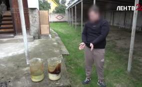 В Ленобласти задержали организатора крупной нарколаборатории