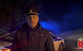 Иномарка насмерть сбила прохожую в Приморском районе Петербурга