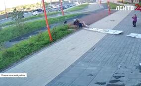 Две жительницы Ломоносовского района чудом остались живы после падения части фасада дома
