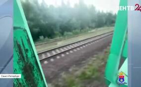 Полицейские вычислили школьниц-зацеперов из Петербурга