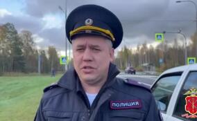 Иномарка насмерть сбила пенсионерку на трассе «Кола»