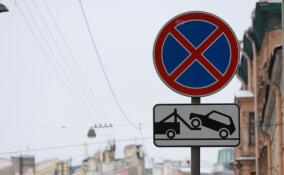 В Петербурге за 9 месяцев вынесли более 1 млн постановлений за нарушения парковки и оплаты проезда