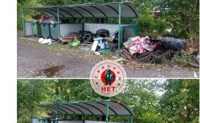 В Приозерском районе и Гатчинском округе ликвидировали свалки у контейнерных площадок