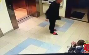 Двух подельников задержали за ограбление жителя Кудрово