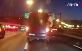 Полиция проводит проверку по факту массового ДТП на КАД у Вантового моста