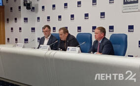 Губернатор Ленобласти объяснил причины веерных отключений зимой в садоводствах