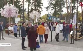 Идентичность через благоустройство: в Сосновом Бору эксперты Минстроя обсудили уникальный облик городов