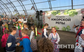Юбилейный праздник ижорской репы на «Веси» посвятят топинамбуру