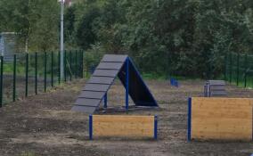 В Дубровском поселении появилась площадка для выгула и дрессировки собак
