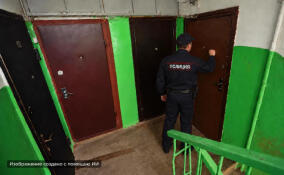 В Петербурге и Ленобласти подвели итоги рейдов по поиску уклонистов от лечения наркомании