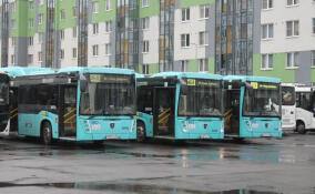 В Янино скорректируют расписание автобусов № 801А и № 468