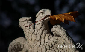 В ночь на среду в Ленобласти ожидается до -7: прогноз погоды на 21 октября