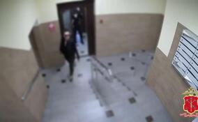 Полицейские задержали четверых участников разбойного нападения в Кудрово