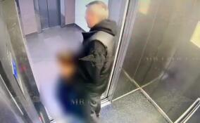 В петербургской многоэтажке мужчина напал на девочку в лифте и попытался её похитить
