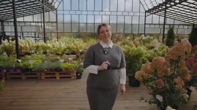 Жительница Рощино вышла в полуфинал Всероссийской премии «Молодой предприниматель России»