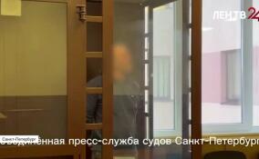 Петербургский суд отправил в СИЗО обвиняемого в похищении девочки