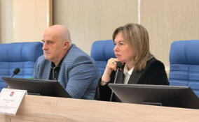 Во Всеволожском районе подготовят более 16 гектаров земли для льготников