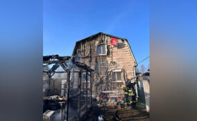 На пожаре в Отрадном спасли женщину и полуторагодовалого ребенка