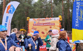 Лемболовский марафон собрал около 200 бегунов Ленобласти