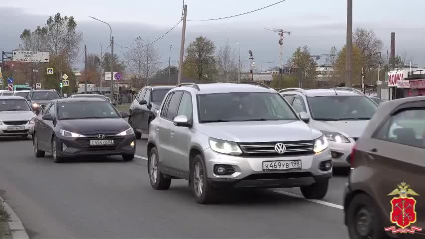 Полицейские проверили 382 автомобиля и 491 человека в Московском районе Петербурга