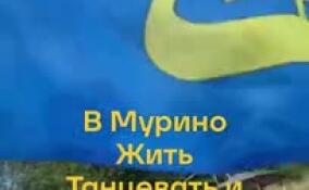 Жительница Мурино заняла третье место на всероссийском конкурсе «Блогеры благоустройства 2.0»