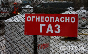 Депутаты Ленобласти попросили «Газпром» расширить мощности газоснабжения Всеволожского района