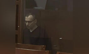 Петербуржец проведет в колонии 11 лет за ввоз в страну 418 кг прекурсоров