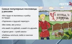 56% россиян считают пословицы актуальными в современном мире
