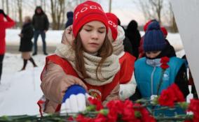 Волхов присоединился к всероссийской акции «Защитим память героев»