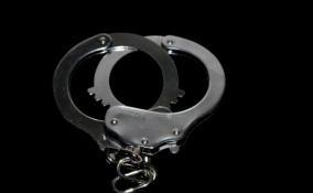 В Лужском районе полицейские задержали иностранца по подозрению в изнасиловании школьницы