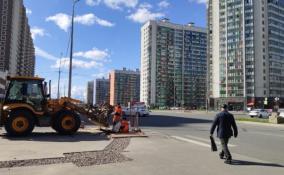 Арбитражный суд удовлетворил иск застройщика, который отвечает за строительство молла на бульваре Менделеева