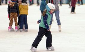 Сосновоборцев приглашают на "День фигурного катания на коньках"