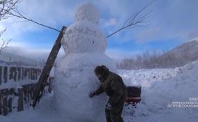 Крым и Сочи под снегом: из-за чего разбушевалась зима?