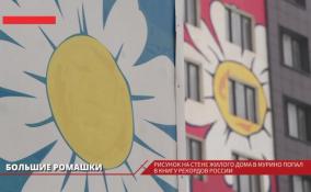 Рисунок на стене дома в Мурино попал в Книгу рекордов России