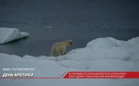 В Арктике предположительно нашли затонувший ледокол "Вайгач"