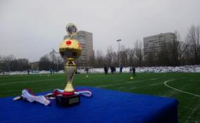 Благотворительный турнир по мини-футболу проходит сегодня в Петербурге