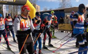 В Гатчине сегодня проходит лыжный марафон