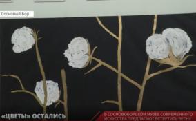 В Сосновоборском Музее современного искусства завершается выставка картин Евгения Чернышёва "Цвет Ы"