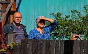 Садоводства в Ломоносовском районе могут лишиться земли из-за строительства железнодорожного обхода