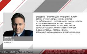 Эксперт объяснил, почему Александр Дрозденко остается в лидерах среди губернаторов